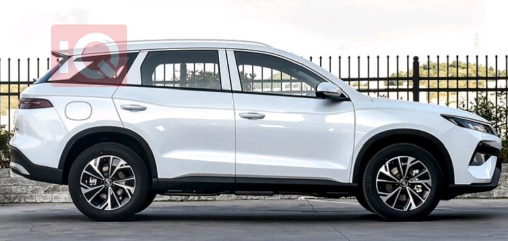 بی وای دی ‎سۆنگ پرۆ DM-i